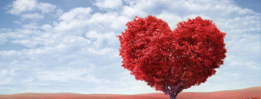 Amor y Enamoramiento